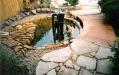 fish_pond2.jpg