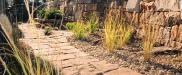 peter-path-2.jpg