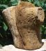 tree-torso.jpg